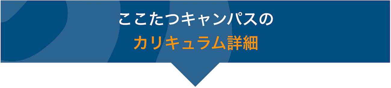 オンライン講座カリキュラム詳細